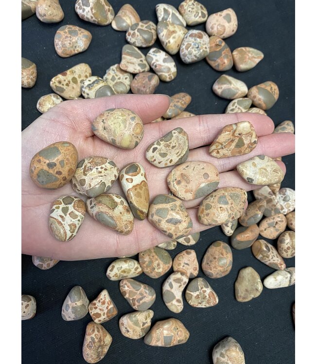 Leopardite Jasper Tumbled Stones, Polished Leopardite Jasper, Grade A; 4 sizes available, purchase individual or bulk