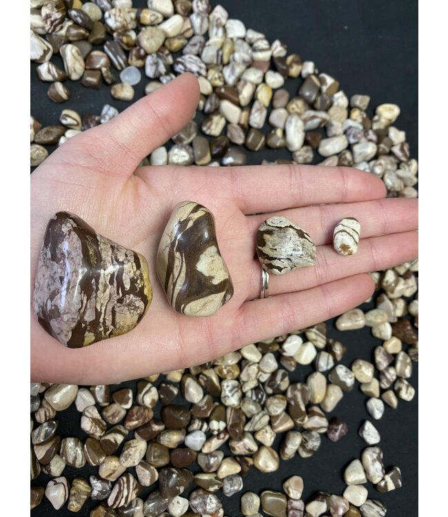 Zebra Jasper Tumbled Stones, Polished Zebra Jasper, Grade A; 4 sizes available, purchase individual or bulk