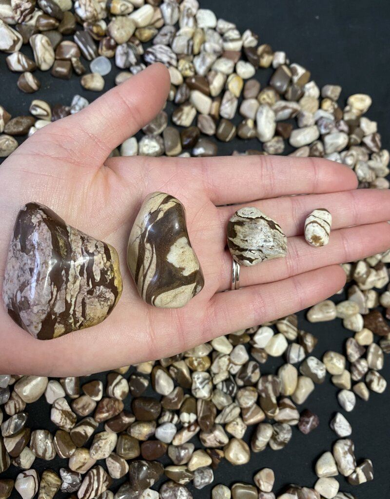 Zebra Jasper Tumbled Stones, Polished Zebra Jasper, Grade A; 4 sizes available, purchase individual or bulk