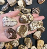 Zebra Jasper Tumbled Stones, Polished Zebra Jasper, Grade A; 4 sizes available, purchase individual or bulk