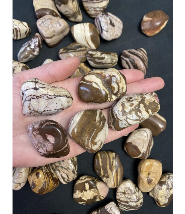 Zebra Jasper Tumbled Stones, Polished Zebra Jasper, Grade A; 4 sizes available, purchase individual or bulk