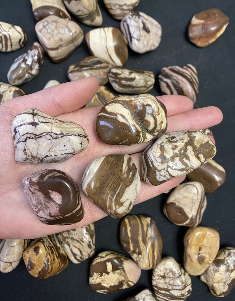 Zebra Jasper Tumbled Stones, Polished Zebra Jasper, Grade A; 4 sizes available, purchase individual or bulk