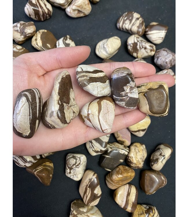 Zebra Jasper Tumbled Stones, Polished Zebra Jasper, Grade A; 4 sizes available, purchase individual or bulk