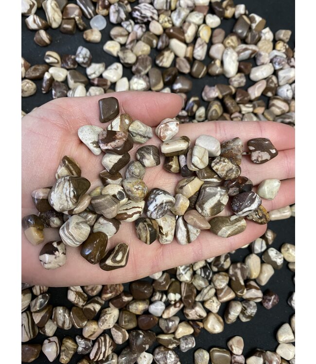 Zebra Jasper Tumbled Stones, Polished Zebra Jasper, Grade A; 4 sizes available, purchase individual or bulk