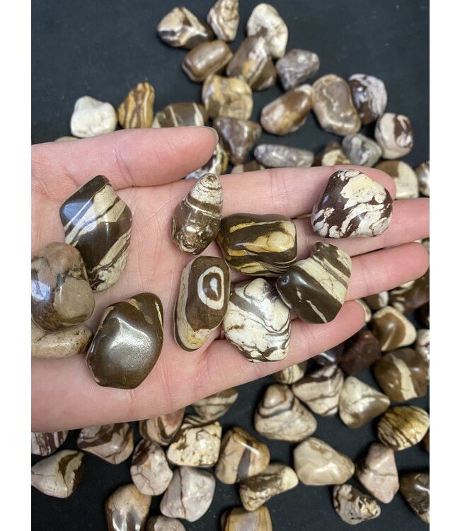 Zebra Jasper Tumbled Stones, Polished Zebra Jasper, Grade A; 4 sizes available, purchase individual or bulk