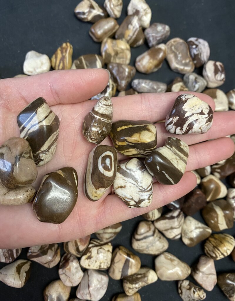 Zebra Jasper Tumbled Stones, Polished Zebra Jasper, Grade A; 4 sizes available, purchase individual or bulk