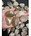 Rutilated Quartz Tumbled Stones, Polished Rutilated Quartz, Grade A; 4 sizes available, purchase individual or bulk