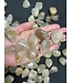 Rutilated Quartz Tumbled Stones, Polished Rutilated Quartz, Grade A; 4 sizes available, purchase individual or bulk