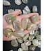 Rutilated Quartz Tumbled Stones, Polished Rutilated Quartz, Grade A; 4 sizes available, purchase individual or bulk