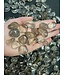 Smoky Quartz Tumbled Stones, Polished Smoky Quartz, Grade A; 4 sizes available, purchase individual or bulk
