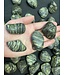 Serpentine Tumbled Stones, Polished Serpentine, Grade A; 4 sizes available, purchase individual or bulk