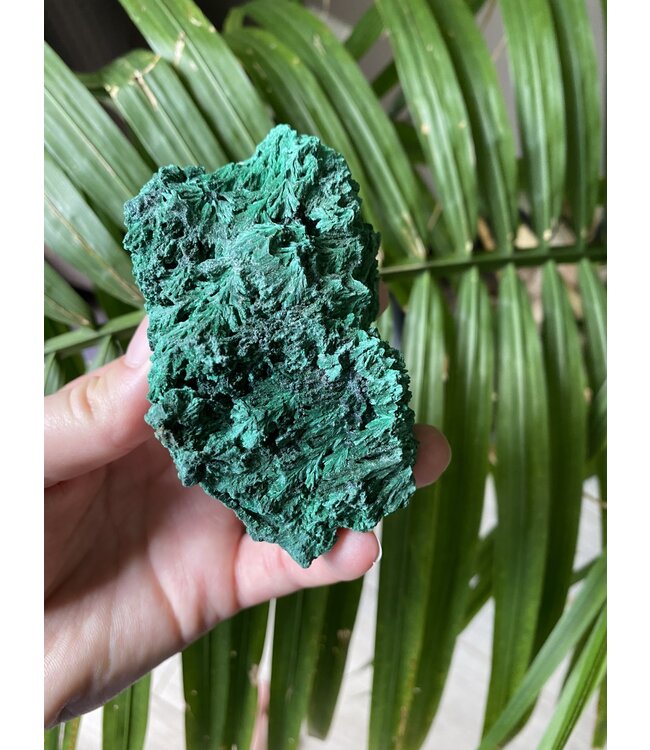 Raw Malachite Specimen #8, 301gr, *disc.*