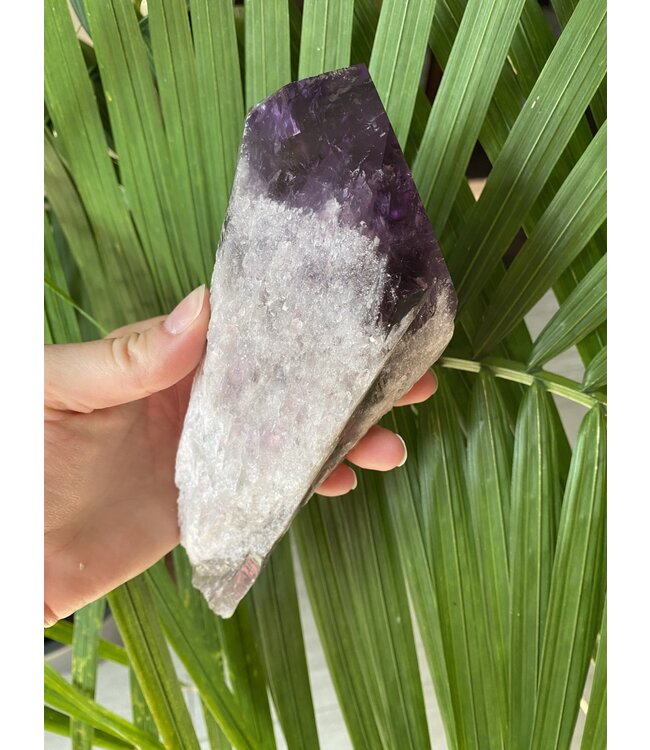 Amethyst Root #23, 749gr, *disc.*