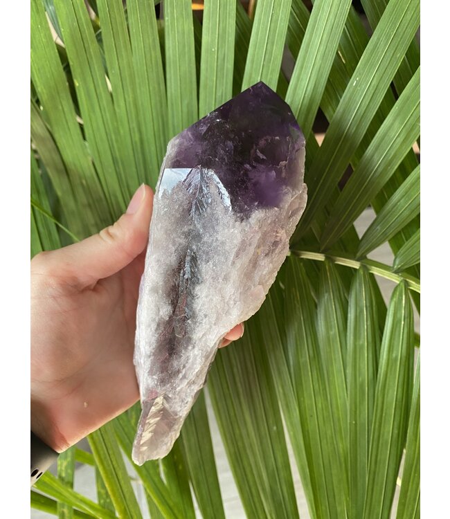 Amethyst Root #23, 749gr, *disc.*