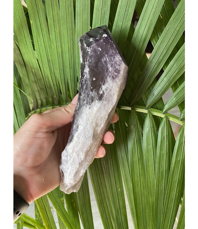 Amethyst Root #23, 749gr, *disc.*