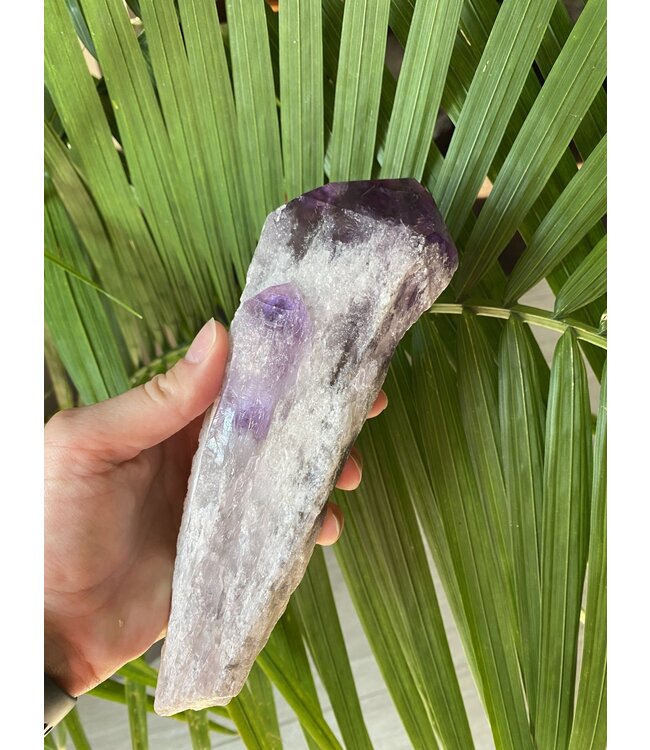 Amethyst Root #20, 657gr, *disc.*