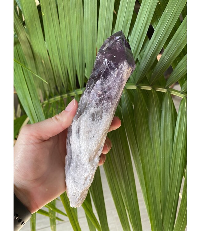 Amethyst Root #18, 679gr, *disc.*