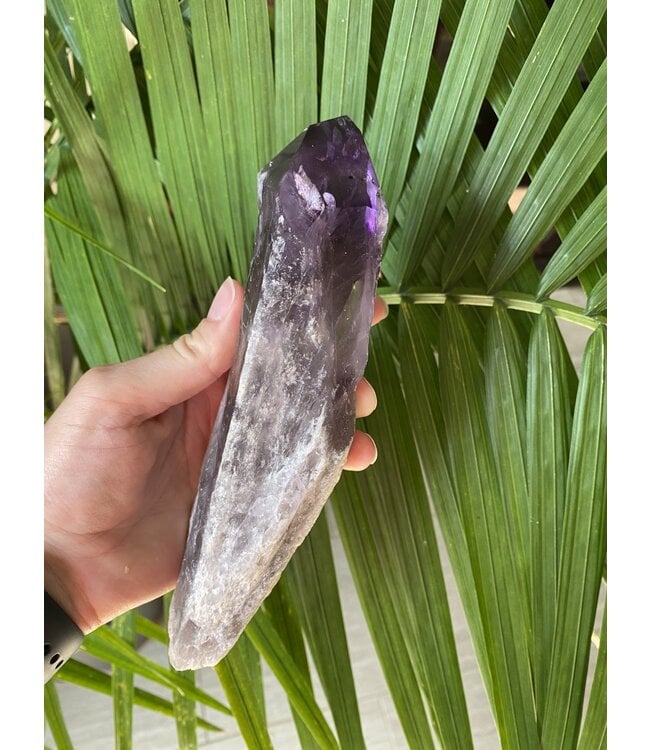 Amethyst Root #18, 679gr, *disc.*