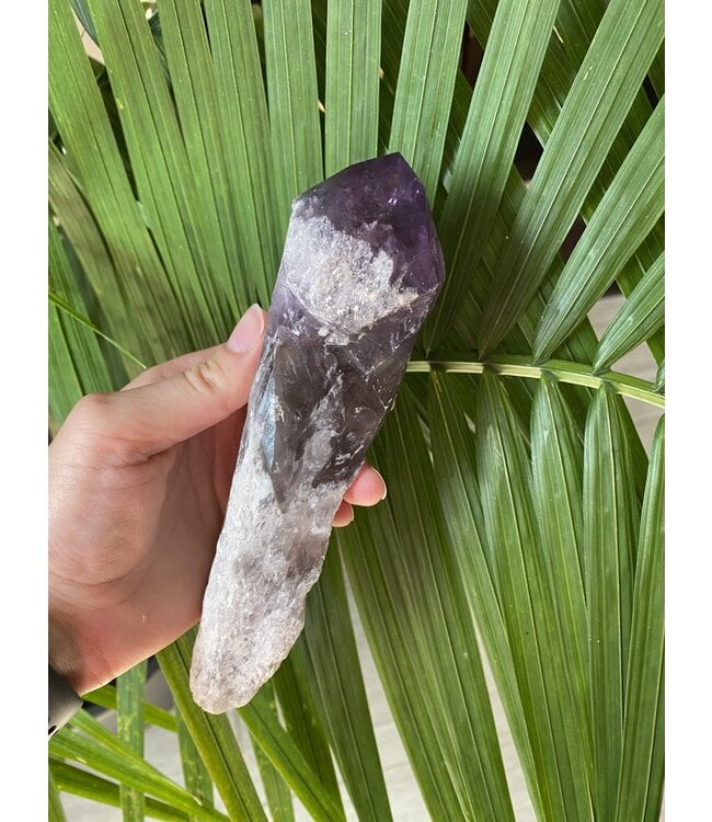 Amethyst Root #17, 556gr, *disc.*