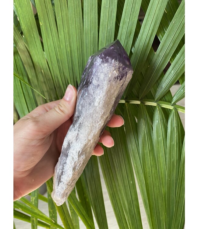 Amethyst Root #17, 556gr, *disc.*