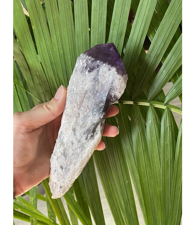 Amethyst Root #17, 556gr, *disc.*