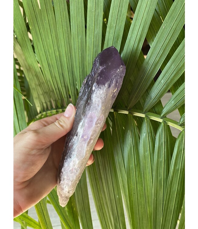 Amethyst Root #5, 577gr, *disc.*