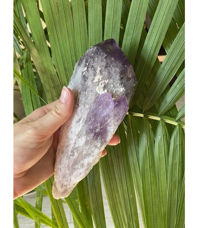 Amethyst Root #5, 577gr, *disc.*