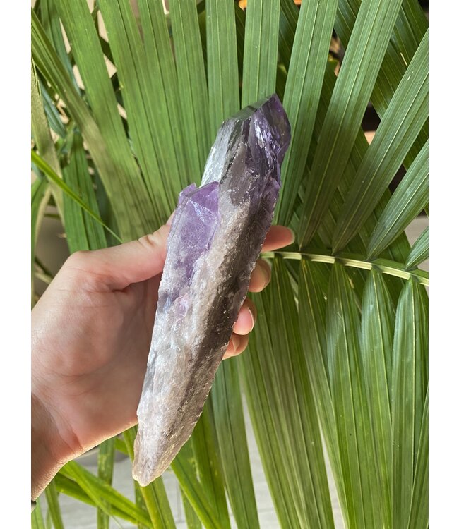 Amethyst Root #5, 577gr, *disc.*