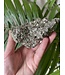 Pyrite Cluster #12, 506gr, *disc.*