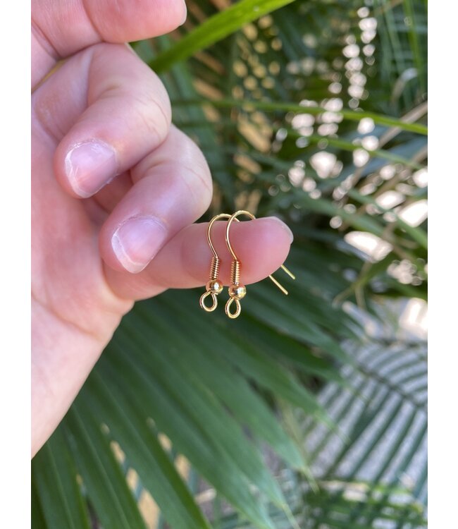 Earring Hooks Stainless Steel Earrings, Gold OR Silver,19.5mm x 18mm 5 Sets