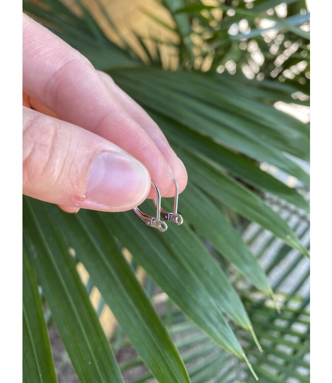 Leverback Hoop Earring Stainless Steel 16mm x 10mm, 1 Set