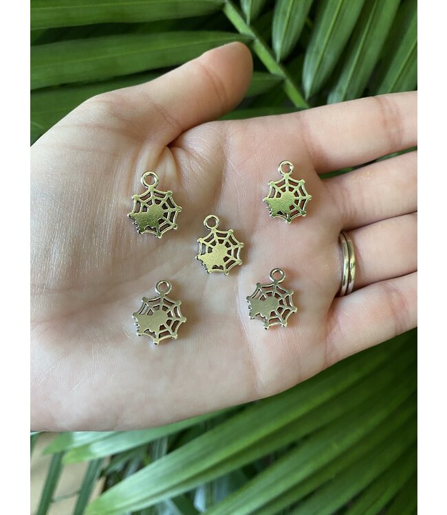 Spider Web Charm Antique Silver 17mm x 14mm 5 Pack *disc.*