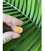 Pumpkin Charm Orange Enamel Light Gold Metal 18.5mm x 16mm 5 Pack *disc.*