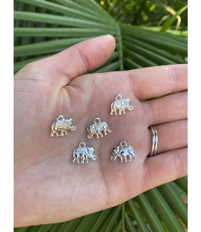 Elephant Charm - 5 colours - 14mm x 12mm x 2.5mm 5 Pack