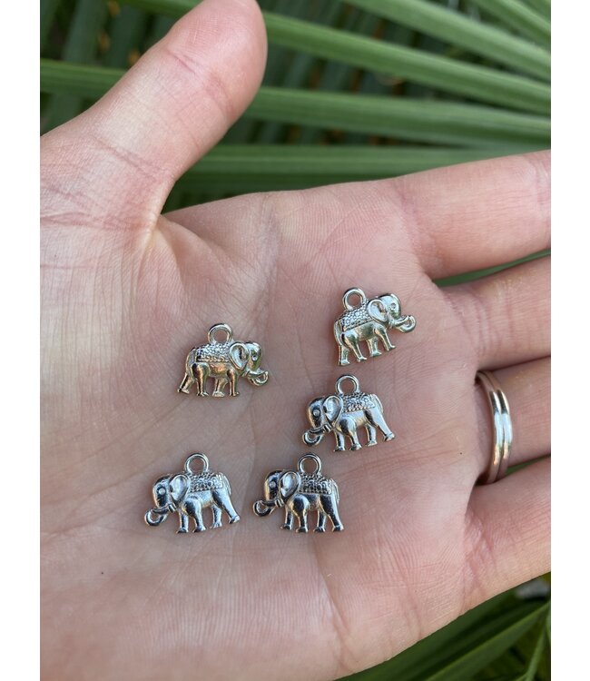 Elephant Charm - 5 colours - 14mm x 12mm x 2.5mm 5 Pack