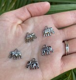 Elephant Charm - 5 colours - 14mm x 12mm x 2.5mm 5 Pack