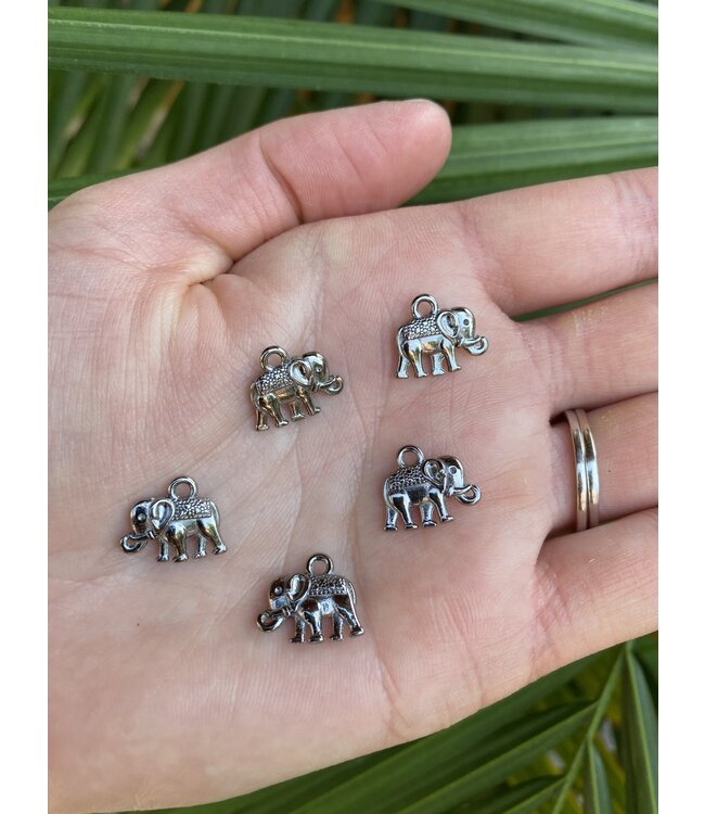 Elephant Charm - 5 colours - 14mm x 12mm x 2.5mm 5 Pack