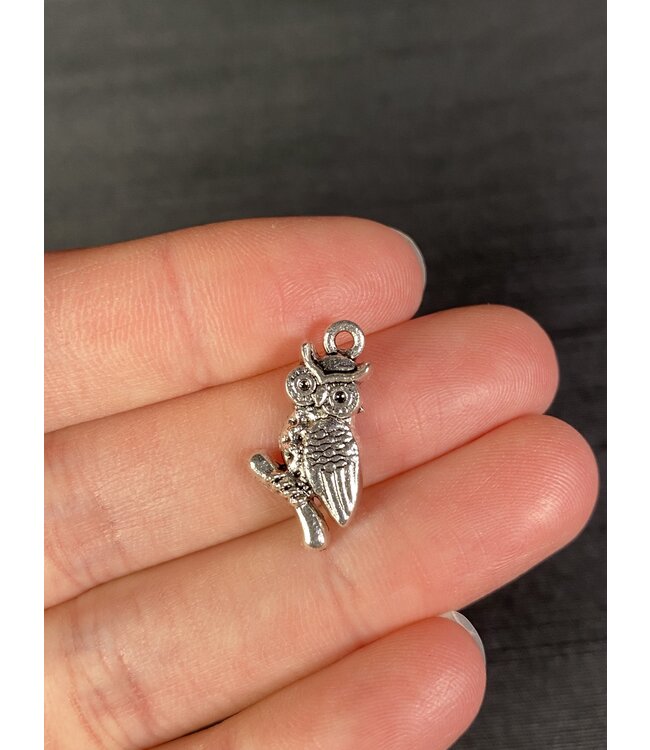 Owl Charm Antique Silver 20mm x 10mm 5 Pack *disc*