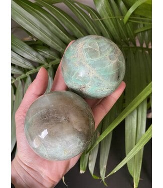 Garnierite/Green Moonstone Sphere 65-69mm *disc.*