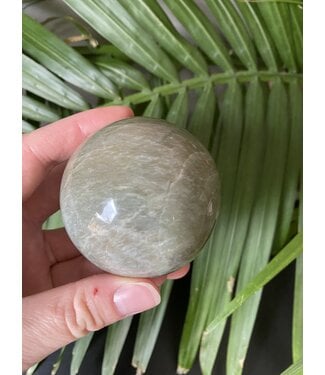 Garnierite/Green Moonstone Sphere 60-64mm *disc.*