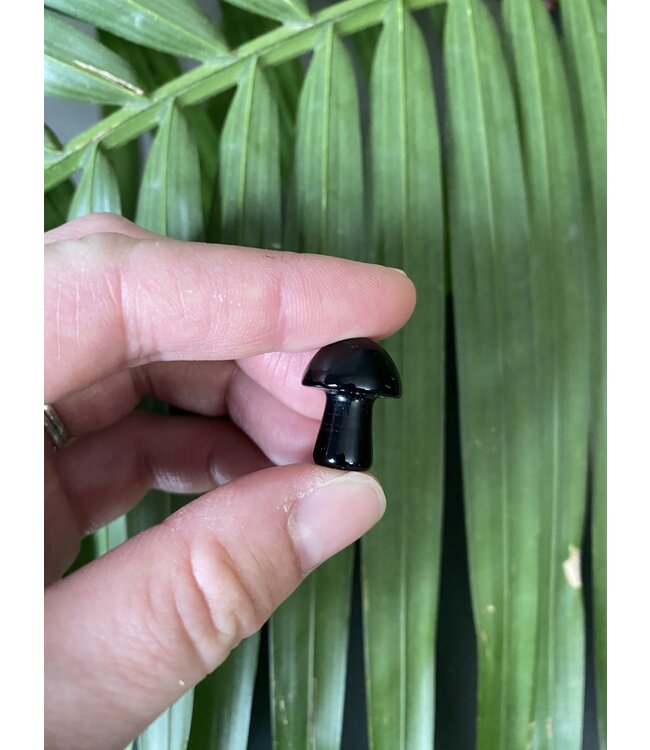 Mini Mushroom Carvings, 40 Types