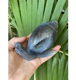 Agate Snail #2 Carving 120mm x 49mm x 78mm 362gr