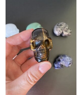2" Skull Carving, 32 Types