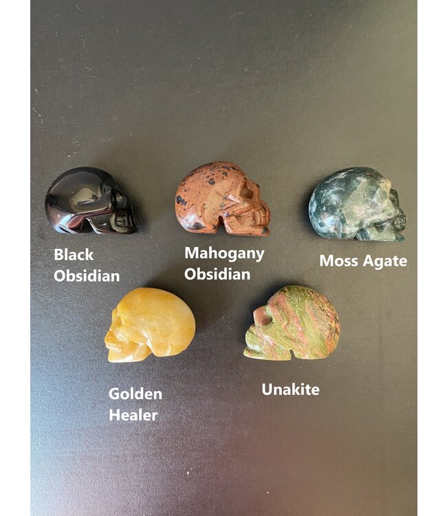 2" Skull Carving, 32 Types