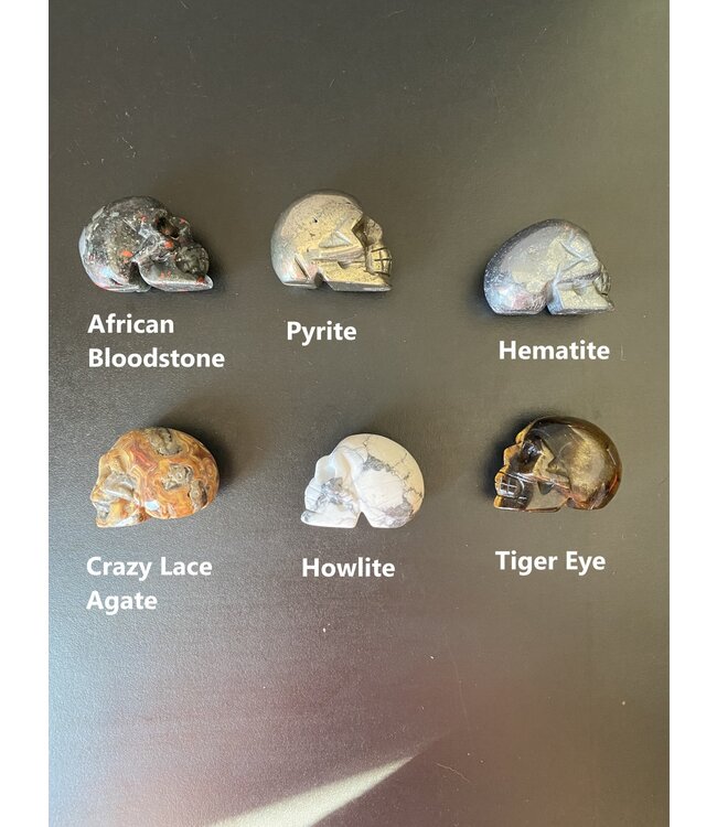 2" Skull Carving, 32 Types