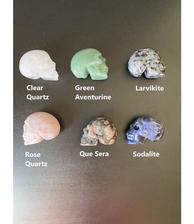 2" Skull Carving, 32 Types