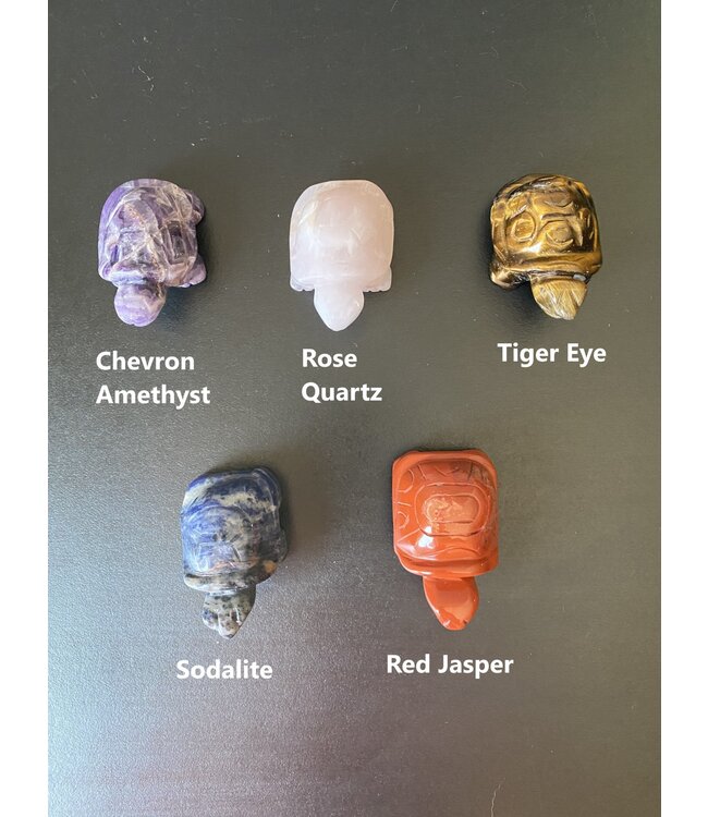 2" Turtle Carving, 11 Types