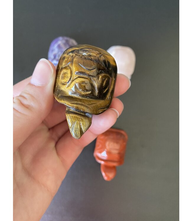 2" Turtle Carving, 11 Types