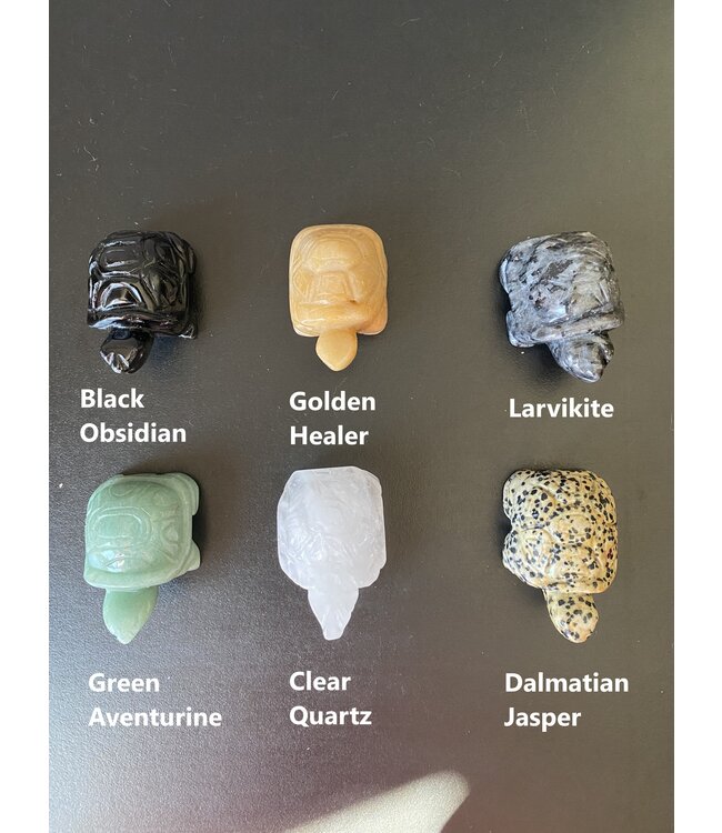 2" Turtle Carving, 11 Types