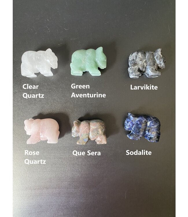 2" Bear Carving, 14 Types